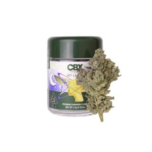 Buy Jet Lag OG Seeds
