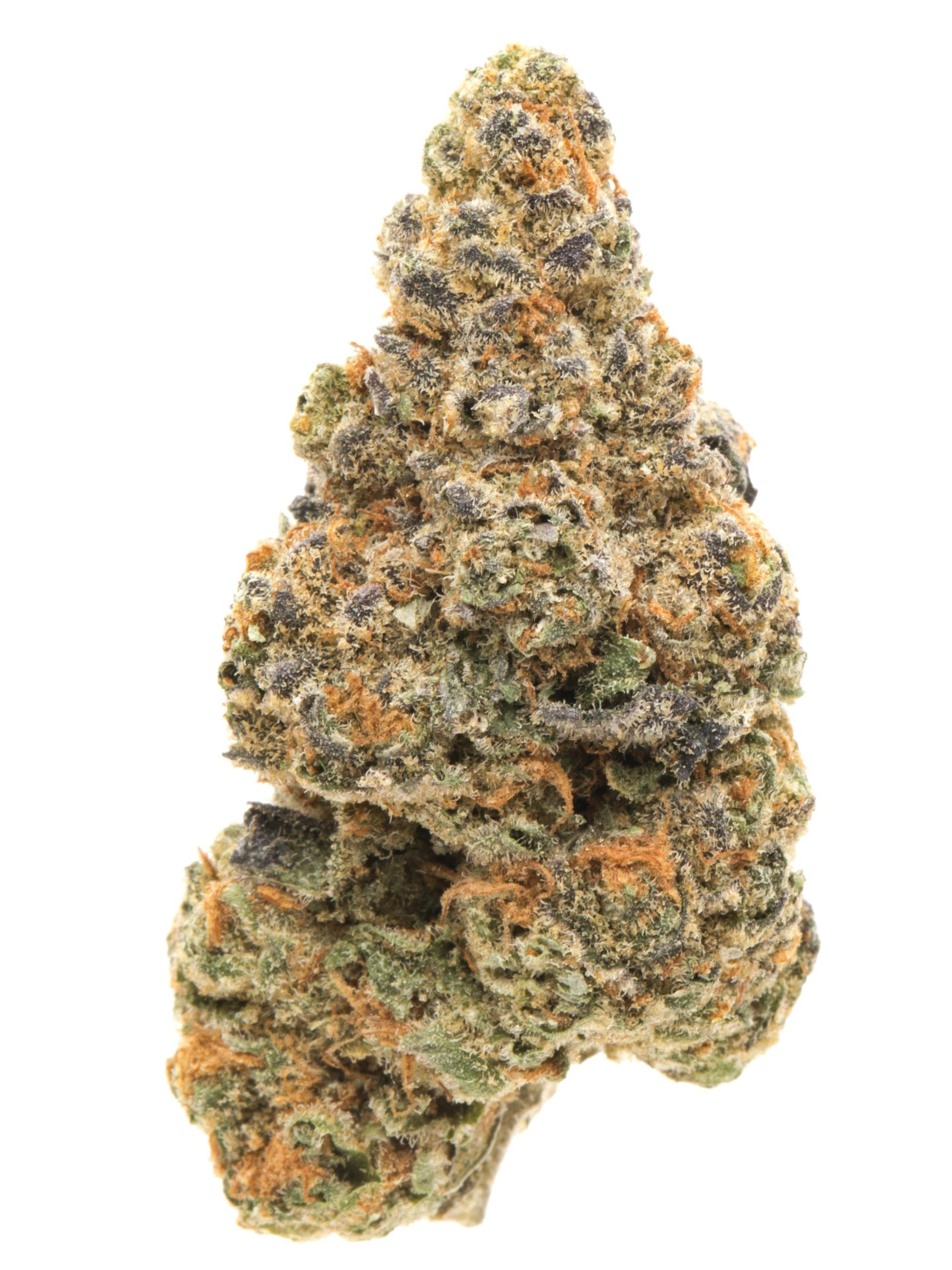 Buy GSC Weed Strain