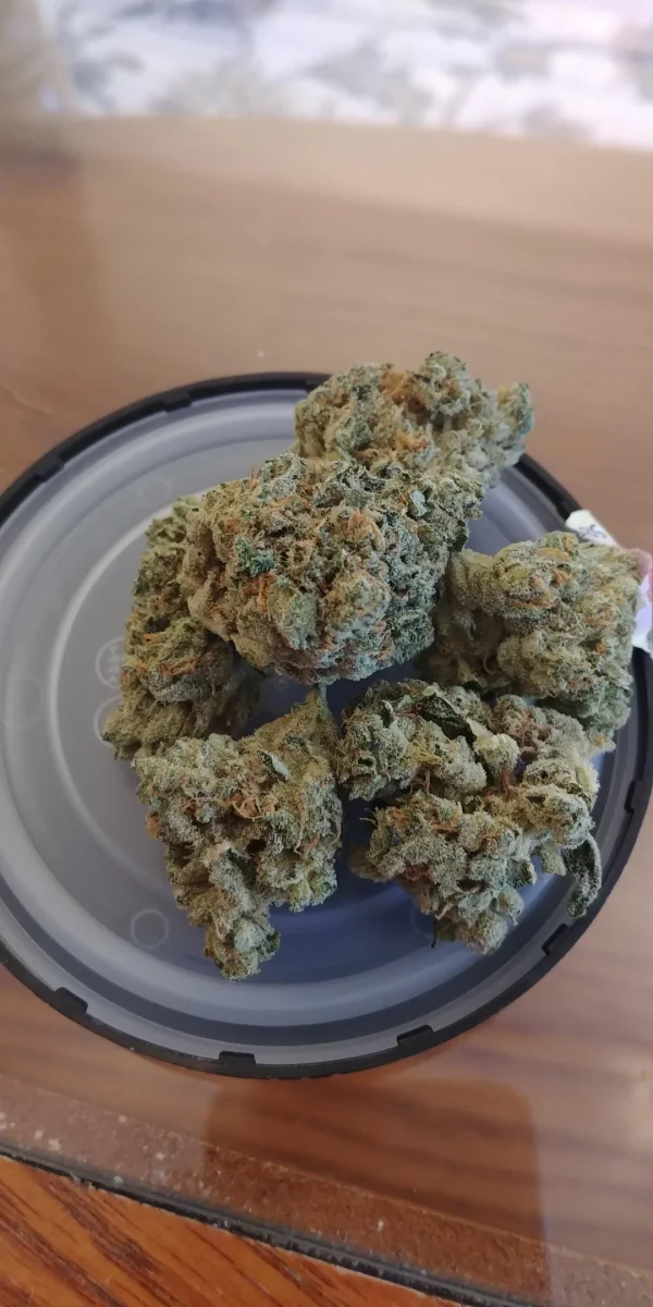 Buy Glueberry OG Weed - Image 3