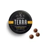 5mg Terra ‘Sea Salt Caramel’ Milk Chocolate Bites 100mg THC total - Shroom Land Hub