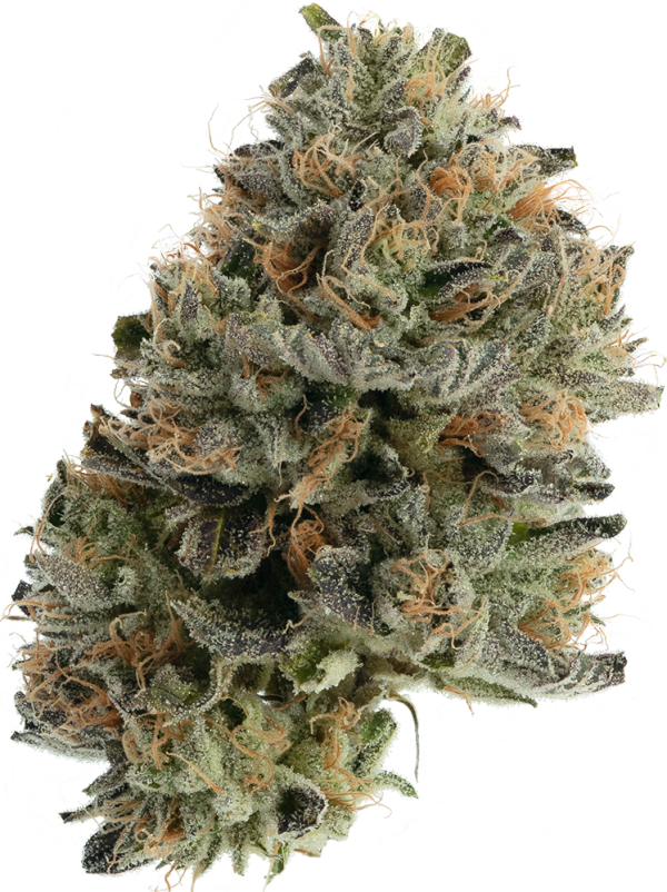 Buy CBX Grape Gasby - Image 2