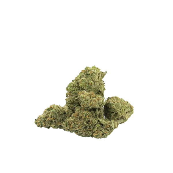 Buy XENO Marijuana Strain - Image 2