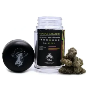 Buy Banana Macaroon Kush