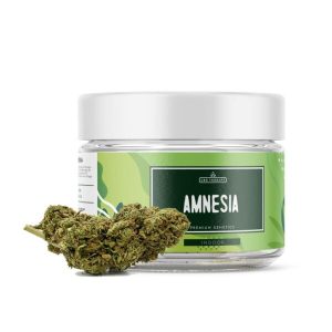 Buy Amnesia Haze Weed