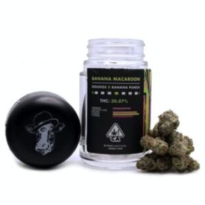 Buy Banana Macaroon Weed