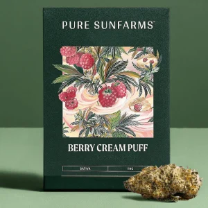 Buy Berry Cream Puff Weed