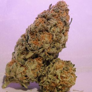 Buy G13 Weed Strain