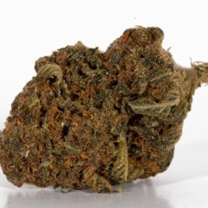 Buy Jean Guy Strain Weed