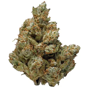 Buy Kush Co OG Weed
