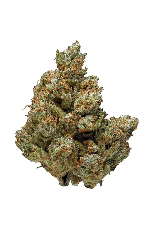 Buy Kush Co OG Weed