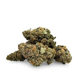 Buy Pink Panties Strain