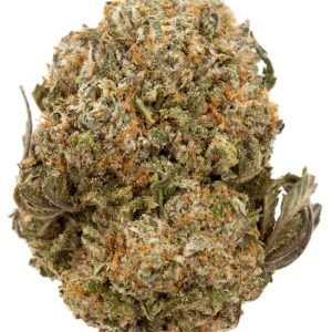 Buy Sugar Cookies Strain