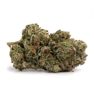 Buy G13 Cannabis Strain