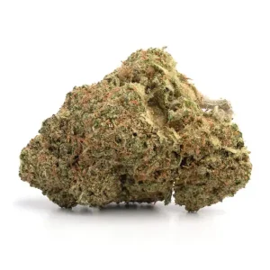 Buy Ice Cream Weed Strain