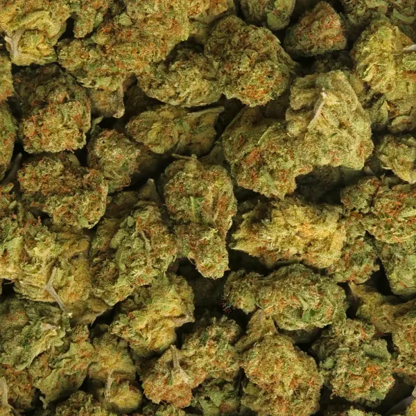Dutch Berry Weed Strain - Image 3