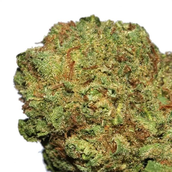 Dutch Berry Weed Strain - Image 2