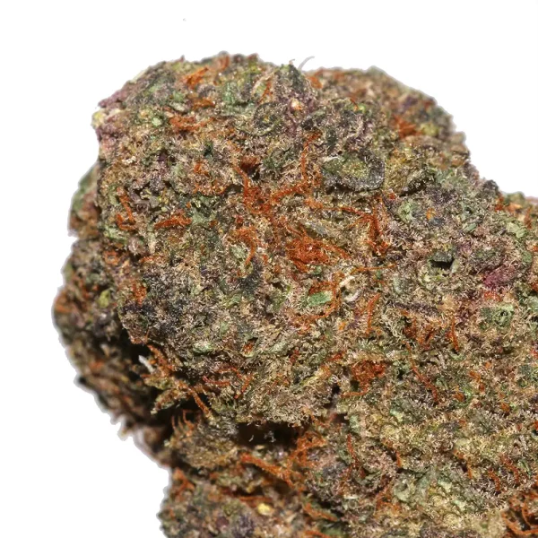 Buy Tropicana Marijuana Strain - Image 2