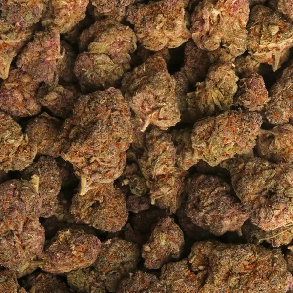 Buy Tropicana Marijuana Strain - Image 3