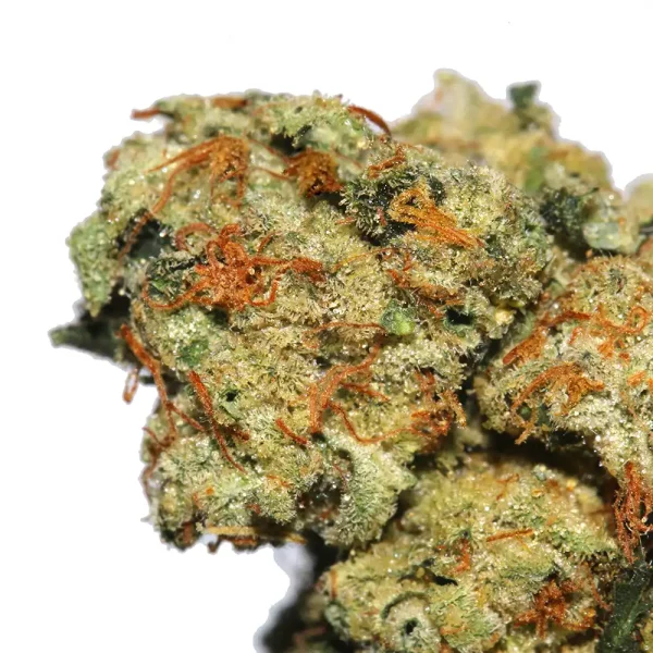 Buy Motorbreath Marijuana Strain - Image 2