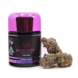 Buy Northern Nights Strain