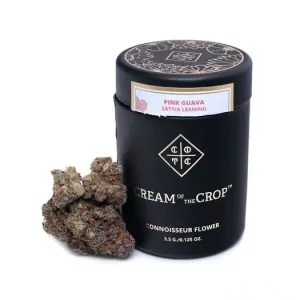 Buy Pink Guava Sativa