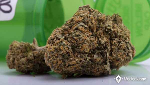 Buy Snowcap Marijuana Strain
