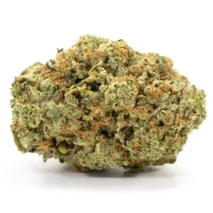 Buy Sunset Sherbet Online
