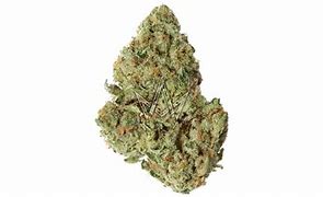 Buy XENO Marijuana Strain