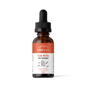 CBD Oil for Dogs (Voted Canada's Best)