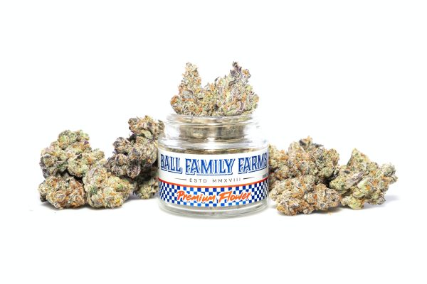 Buy Daniel Larusso Strain - Image 4