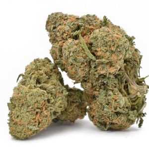 Buy Durban Poison Weed Strain