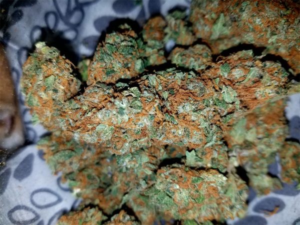 Buy G13 Weed Strain - Image 2