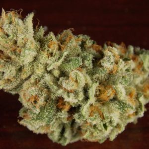 Buy Mavericks Marijuana Strain