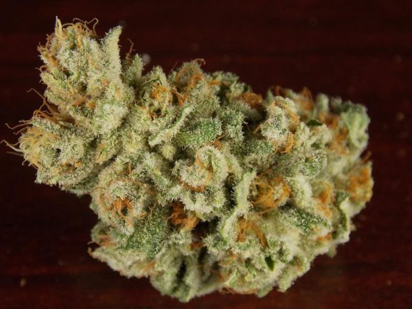 Buy Mavericks Marijuana Strain