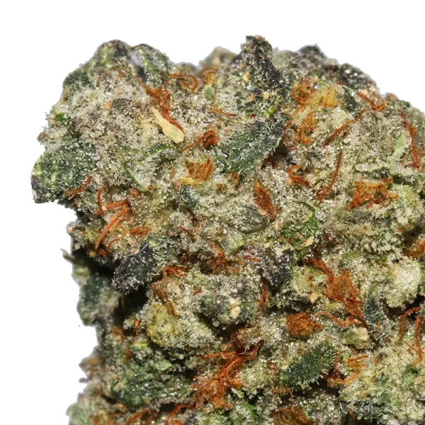 Cap Junky Cannabis Strain - Image 2
