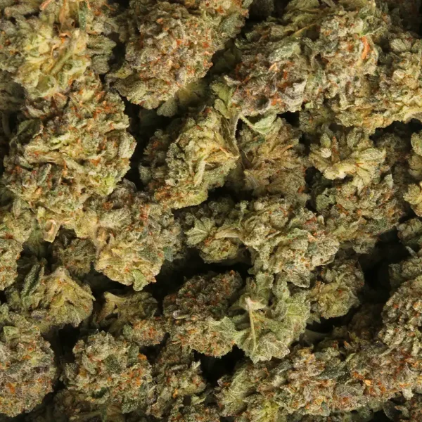 Cap Junky Cannabis Strain - Image 3