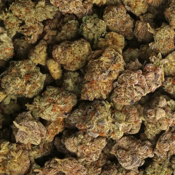 Buy Gruntz Weed Strain - Image 2