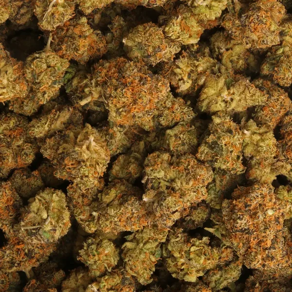 Lemon Tangie Marijuana Strain - Image 3