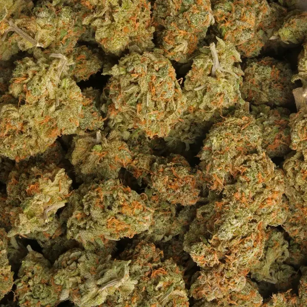 Buy Blue Dream Strain - Image 3