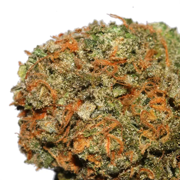Buy Blue Dream Strain - Image 2