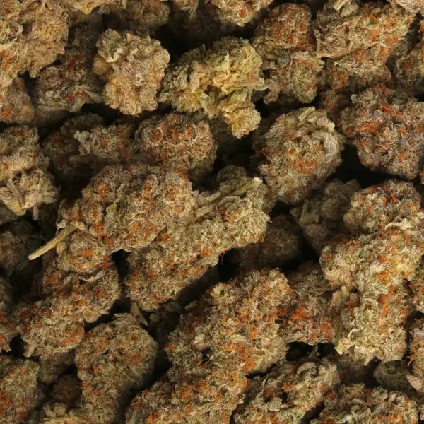 Italian Ice Weed Strain - Image 3