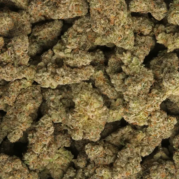 White Mac 11 Cannabis Strain - Image 3