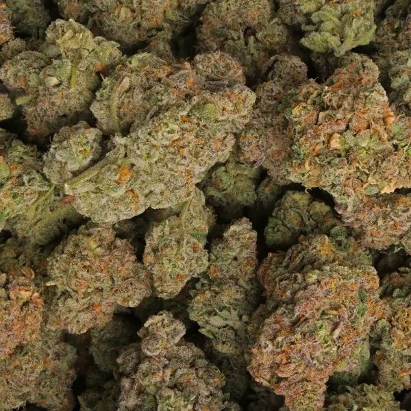 Gumbo Runtz Cannabis Strain - Image 3