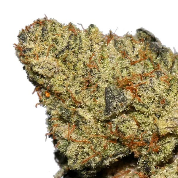 Buy Sunset Sherbert Strain - Image 2