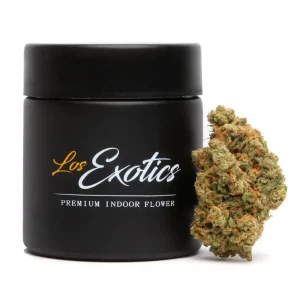 Buy Super Jack Strain