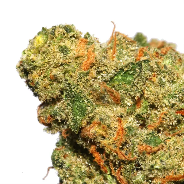 Buy Super Jack Strain - Image 2