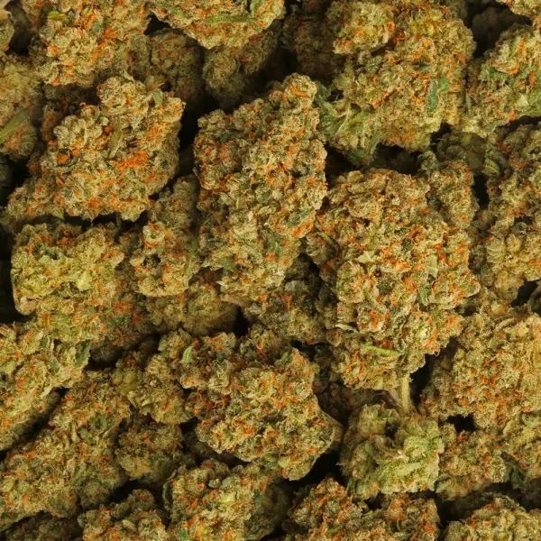 Buy Super Jack Strain - Image 3