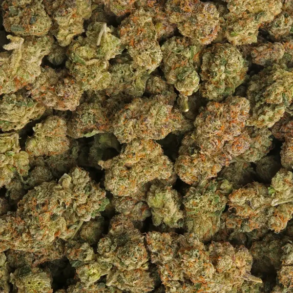 Buy Dosidos Cannabis Strain - Image 2