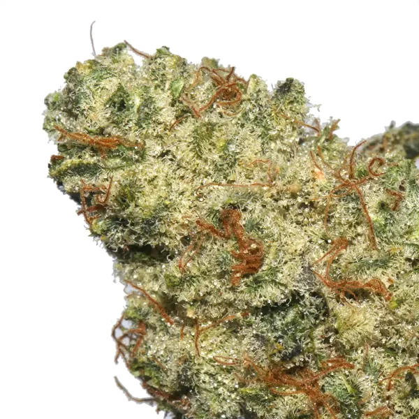 Cake Crashers Weed Strain - Image 2