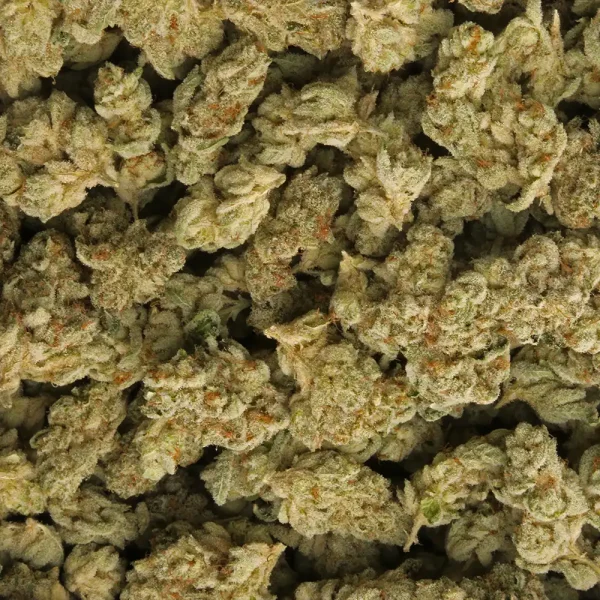 Cake Crashers Weed Strain - Image 3